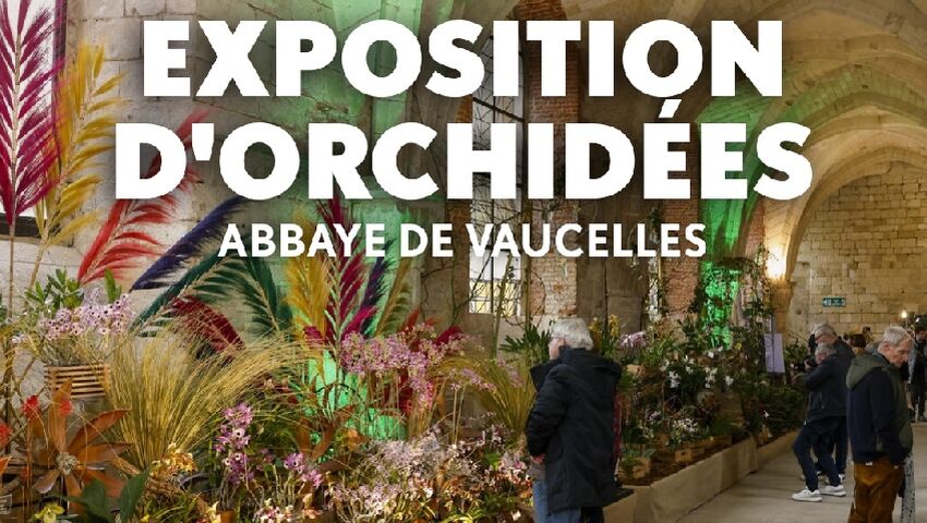 exposition orchidées abbaye vaucelles